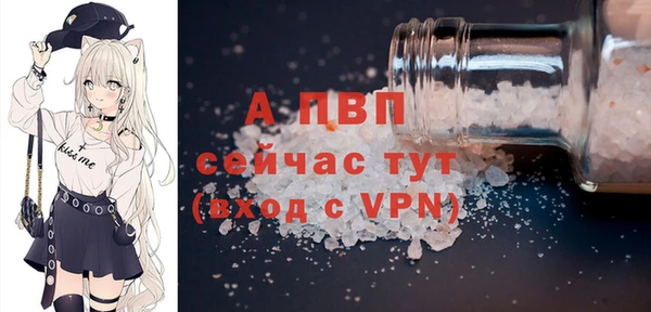 СК Краснослободск