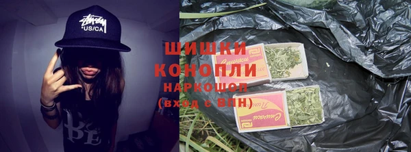 СК Краснослободск